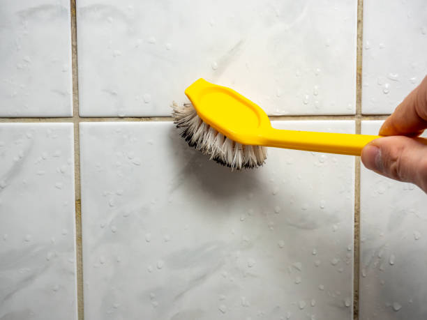 Best Mold Testing  in Ohatchee, AL