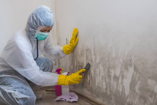 Crawl Space Mold Removal in Ohatchee, AL