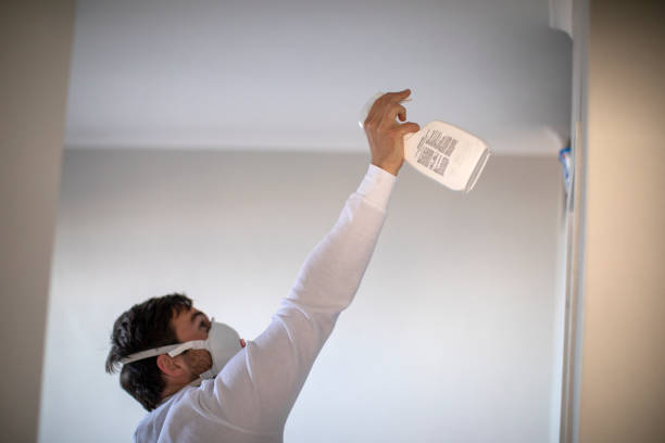 Best Toxic Mold Removal  in Ohatchee, AL