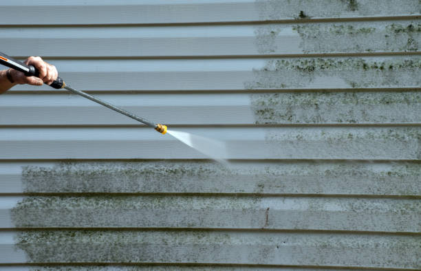 Best Mold Cleaning Services  in Ohatchee, AL
