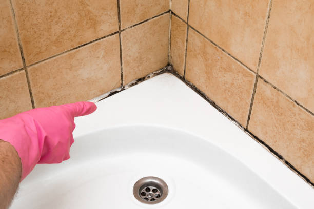 Best Crawl Space Mold Removal  in Ohatchee, AL